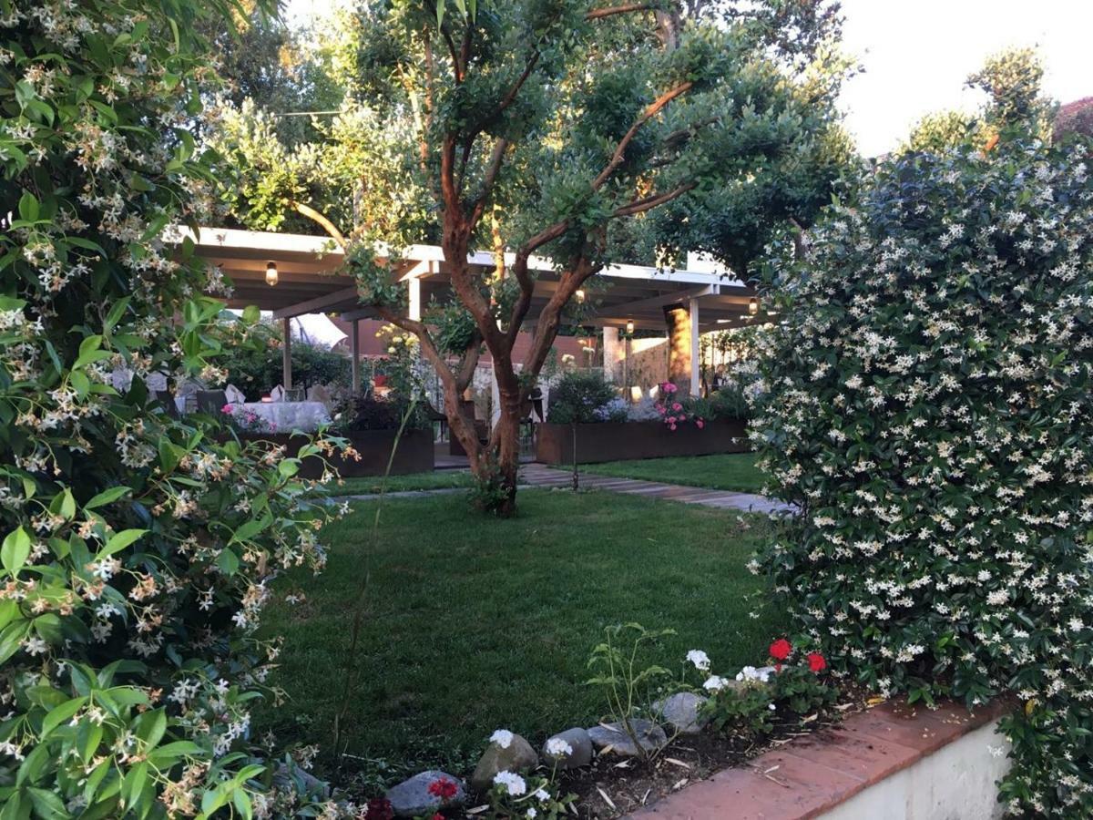 Locanda Del Pesce Briaco, B&B ลุคคา ภายนอก รูปภาพ