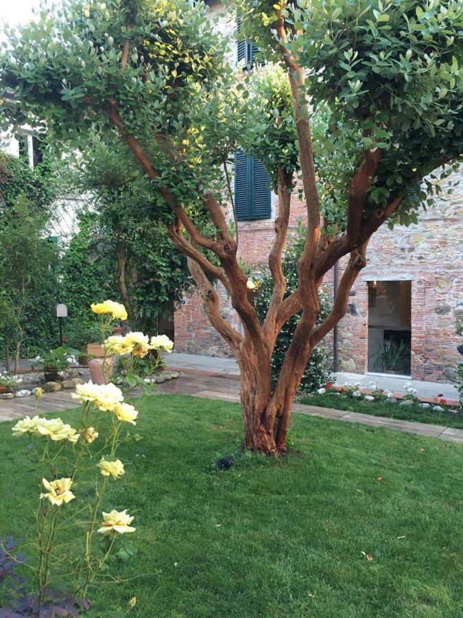 Locanda Del Pesce Briaco, B&B ลุคคา ภายนอก รูปภาพ